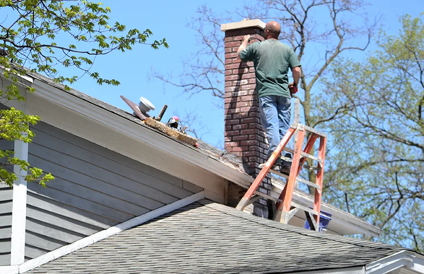 Chimney & Fireplace Inspections Services in Dearborn, MI
